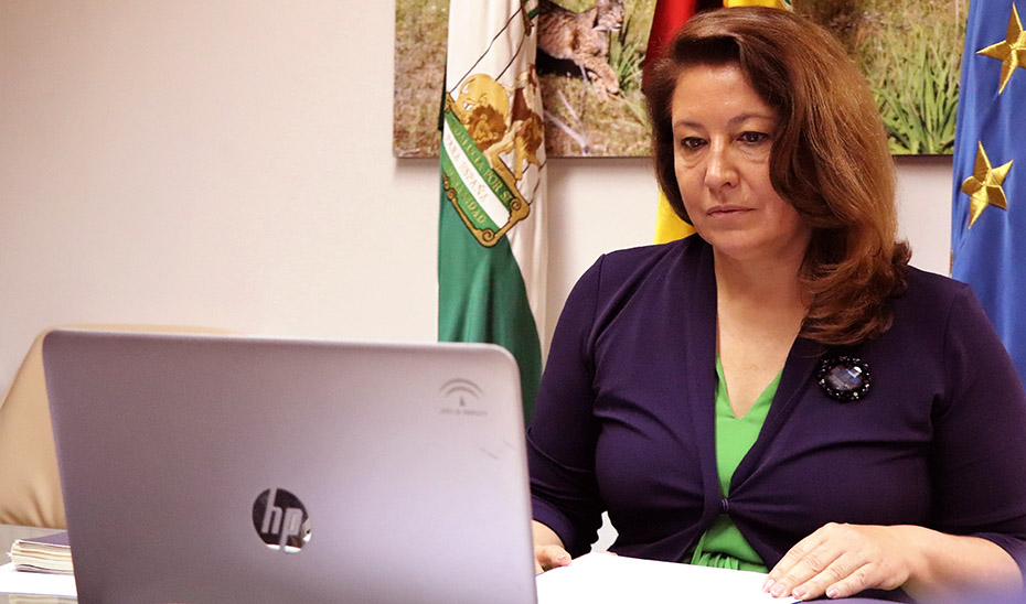 La consejera de Agricultura, Carmen Crespo, durante su participación en el Consejo Consultivo de Política Agrícola para Asuntos Comunitarios.