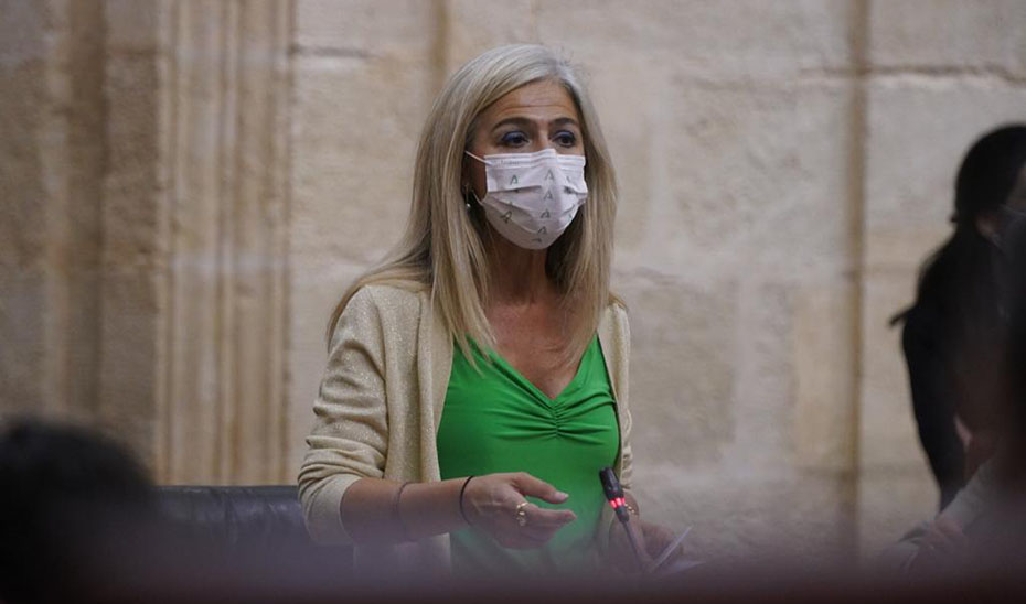 La consejera de Cultura, Patricia del Pozo, en un momento de su intervención en la sesión plenaria.