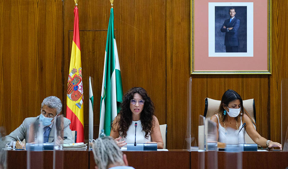 La consejera de Igualdad, Rocío Ruiz, interviniendo este martes en la Diputación Permanente del Parlamento andaluz.