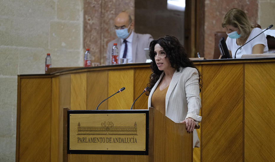 La consejera de Igualdad, Rocío Ruiz, durante su intervención en la sesión plenaria.
