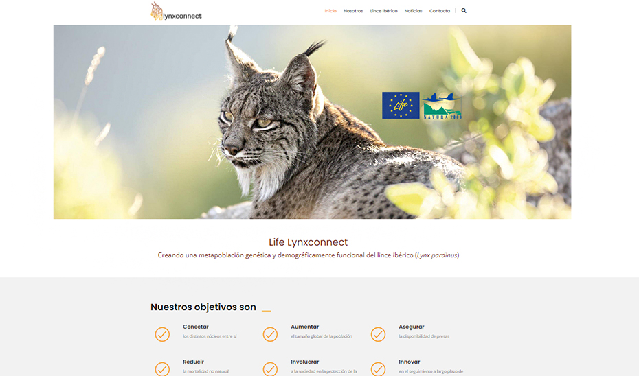 Portada de la página web sobre el programa Linxconnect activada por la Junta.