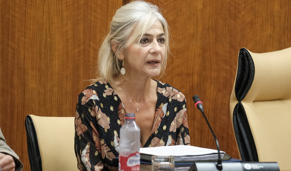 La consejera de Desarrollo Educativo y Formación Profesional, Patricia del Pozo, durante su comparecencia en la Comisión de Educación del Parlamento andaluz.