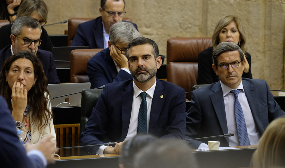 El consejero de Sostenibilidad, Ramón Fernández-Pacheco, en el transcurso de la sesión plenaria en el Parlamento.