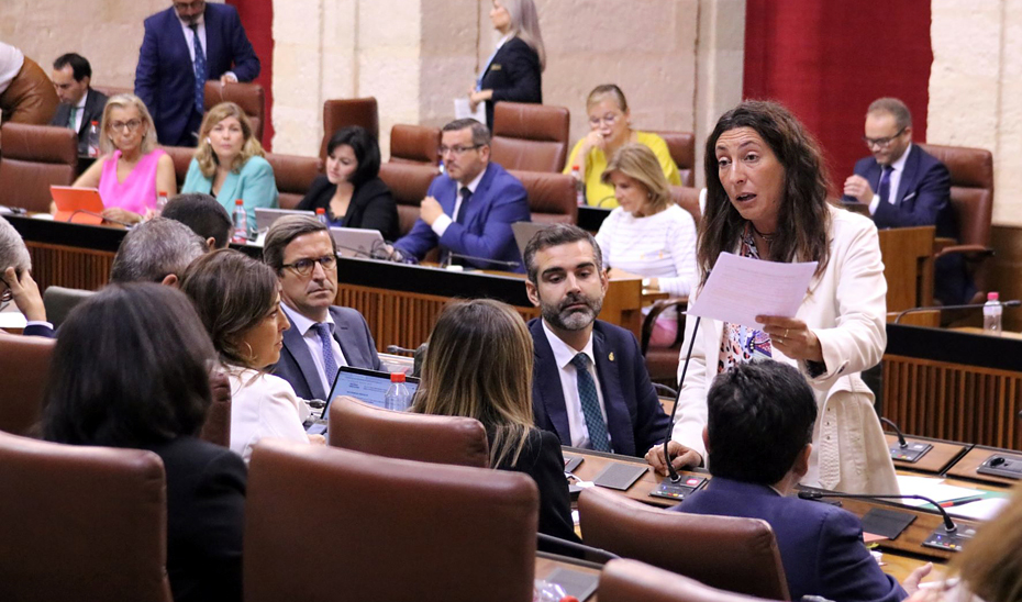 La consejera de Inclusión Social, Juventud, Familias e Igualdad, Loles López, durante la sesión de control parlamentaria.