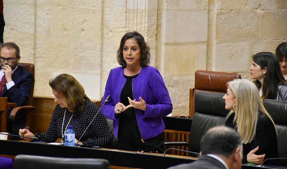 La consejera de Salud, Catalina García, durante su intervención en el Pleno del Parlamento. 