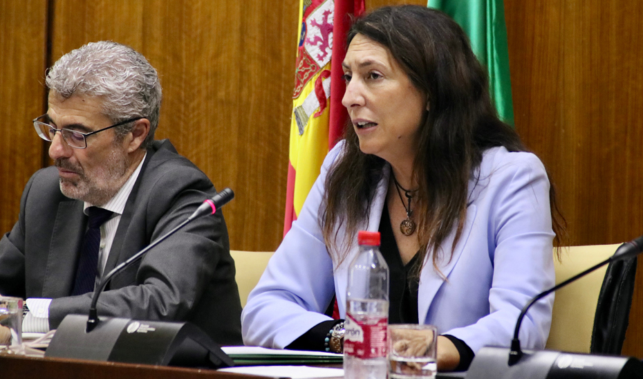 La consejera de Inclusión Social, Juventud, Familias e Igualdad, Loles López, durante la comparecencia en comisión parlamentaria.