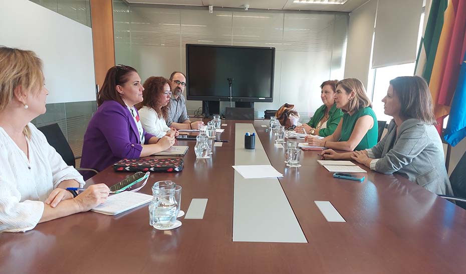 Un momento de la reunión de la consejera de Empleo y representantes de CERMI. 