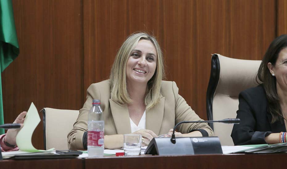 La consejera de Fomento, Marifrán Carazo, en un momento de la comisión parlamentaria.
