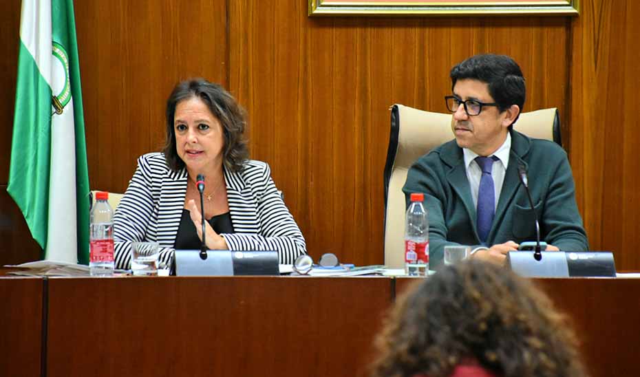 Un momento de la intervención de la consejera de Salud, Catalina García, en la comisión parlamentaria.