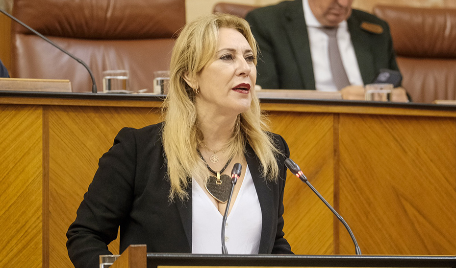 Intervención de la consejera de Economía en el Parlamento de Andalucía.