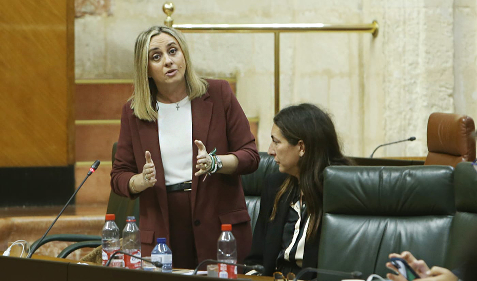 La consejera de Fomento, Marifrán Carazo, durante su intervención en el Parlamento.