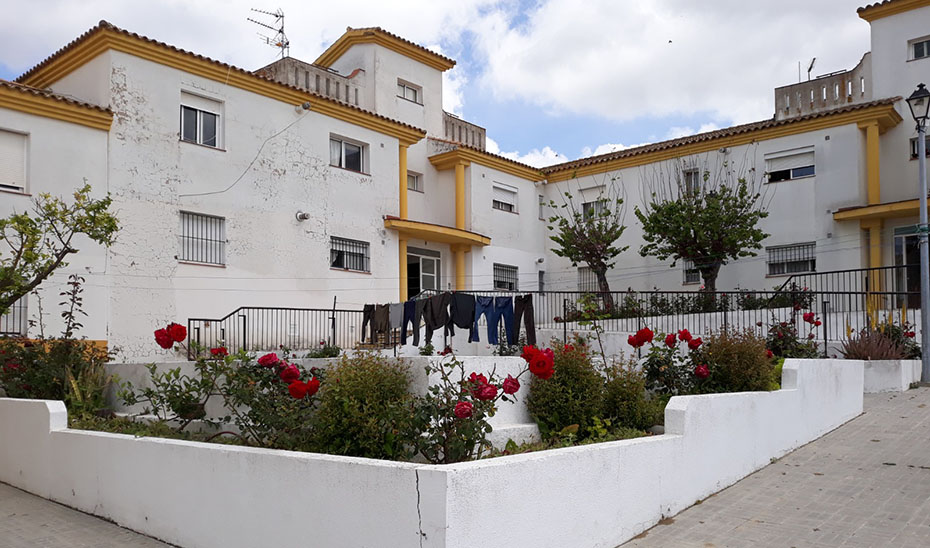 Algunas de las viviendas de Paterna de Rivera.