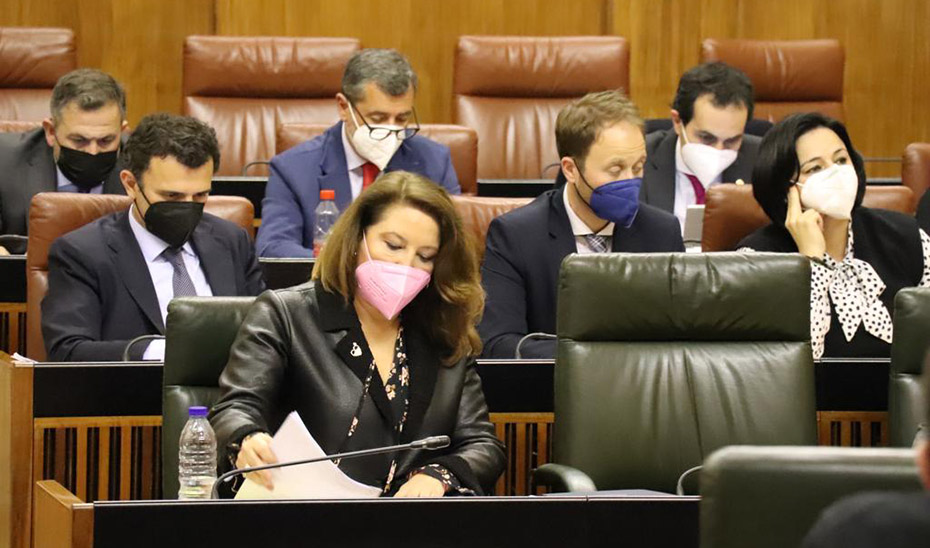 La consejera de Agricultura, Carmen Crespo, durante la sesión plenaria.