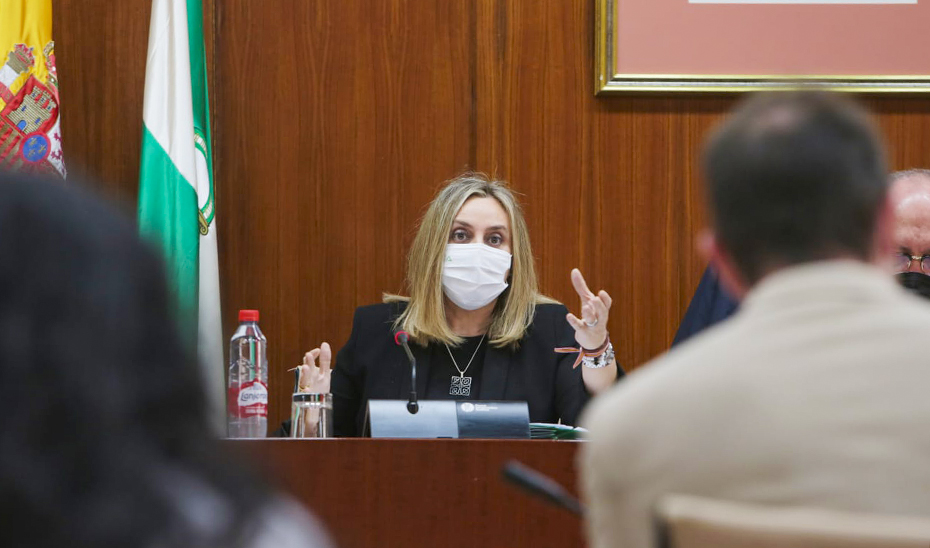 La consejera de Fomento, Marifrán Carazo, durante la comisión parlamentaria.