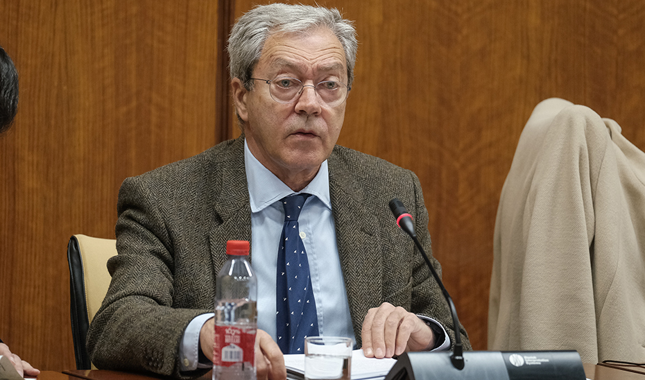 El consejero de Transformación Económica, Rogelio Velasco, durante su intervención en comisión parlamentaria.