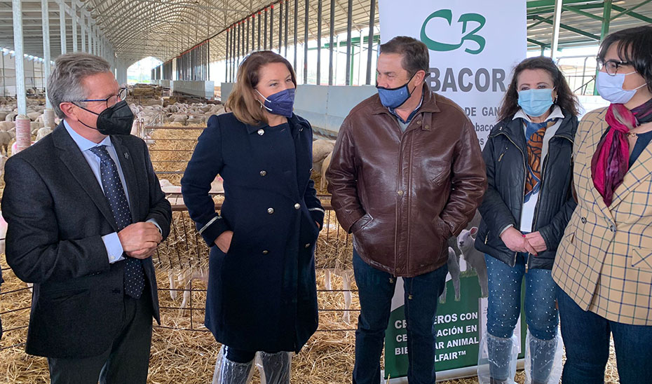 La consejera de Agricultura, Ganadería, Pesca y Desarrollo Sostenible, Carmen Crespo, este lunes en las instalaciones de Cebacor en Baza.