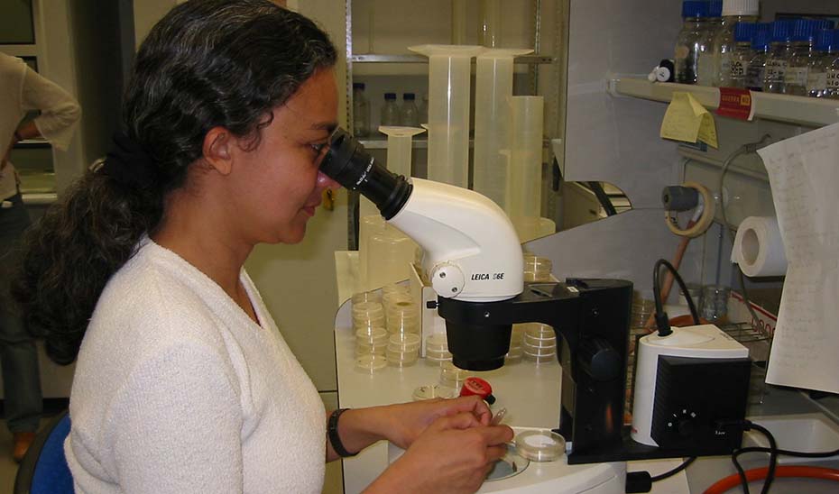 Una investigadora, en su laboratorio.