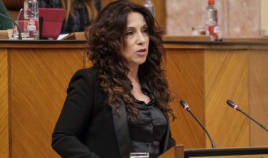 La consejera de Igualdad, Rocío Ruiz, durante su comparecencia en la sesión de control en el Parlamento.