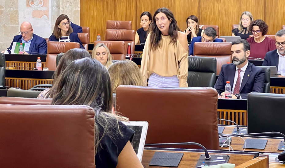 La consejera Loles López, durante la sesión de control al gobierno en el Pleno del Parlamento andaluz.