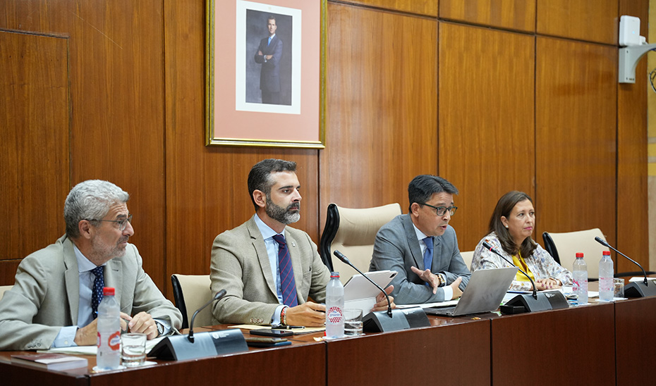 Fernández-Pacheco, durante la Comisión de Sostenibilidad, Medio Ambiente y Economía Azul.