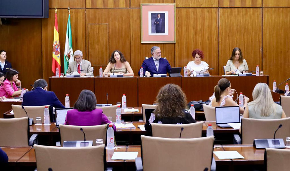 La consejera de Inclusión Social, Juventud, Familias e Igualdad, Loles López, en el Parlamento andaluz. 