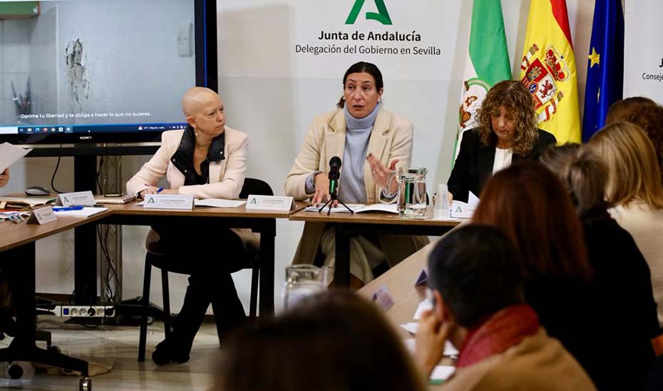 La consejera de Inclusión Social, Juventud, Familias e Igualdad, Loles López, interviene en el pleno del Consejo Andaluz de Participación de las Mujeres (CAPM).