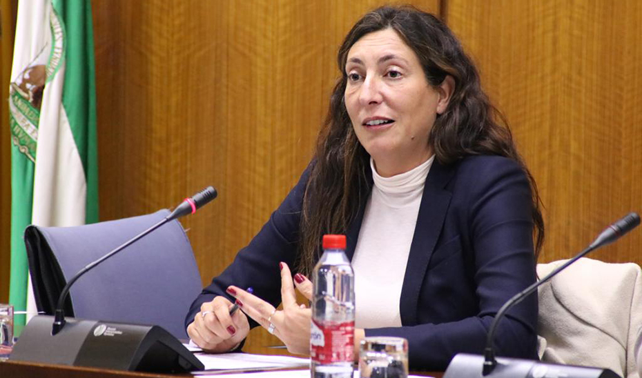 La consejera Loles López, interviene ante la comisión de Inclusión Social, Juventud, Familias e Igualdad, en el Parlamento de Andalucía.