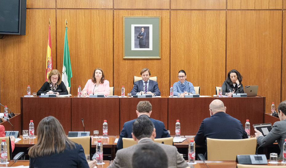 La consejera de Agricultura, Pesca, Agua y Desarrollo Rural, Carmen Crespo, comparece en comisión parlamentaria.