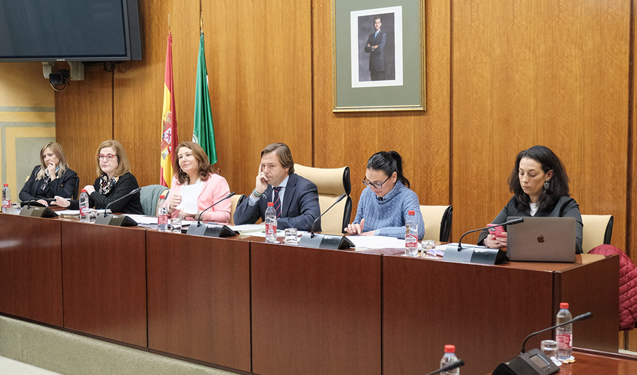 La consejera de Agricultura, Pesca, Agua y Desarrollo Rural, Carmen Crespo, comparece en comisión parlamentaria.