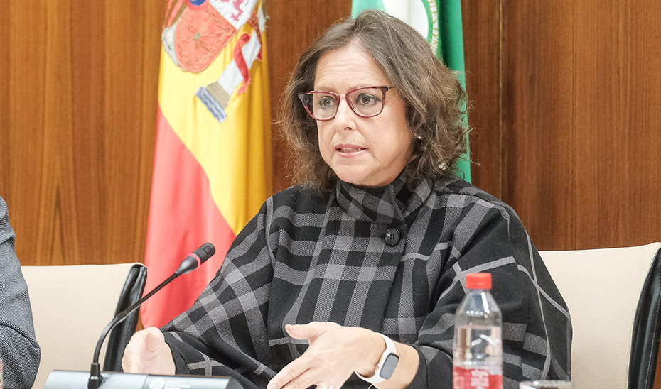 La consejera de Salud y Consumo, Catalina García.
