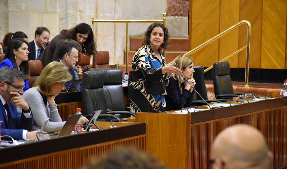 La consejera de Salud, Catalina García, durante su intervención en el Pleno del Parlamento.