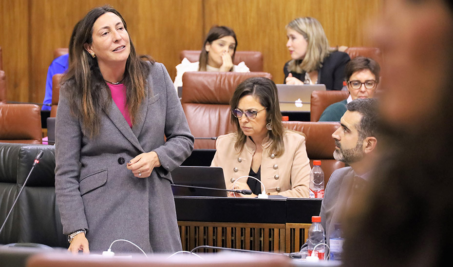 La consejera de Inclusión Social, Loles López, durante su intervención en el Pleno del Parlamento andaluz.