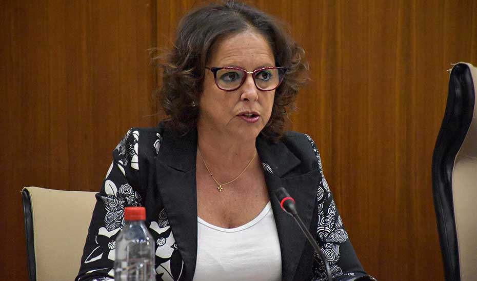 La consejera de Salud y Consumo, Catalina García, interviene en la comisión parlamentaria.
