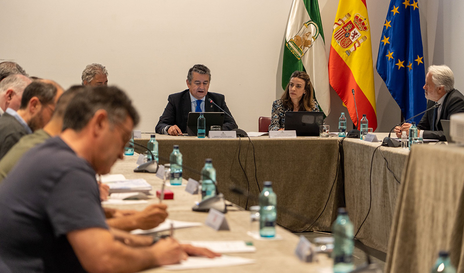 El consejero de la Presidencia, Interior, Diálogo Social y Simplificación Administrativa, Antonio Sanz, ha presidido el pleno del Consejo Andaluz del Fuego.