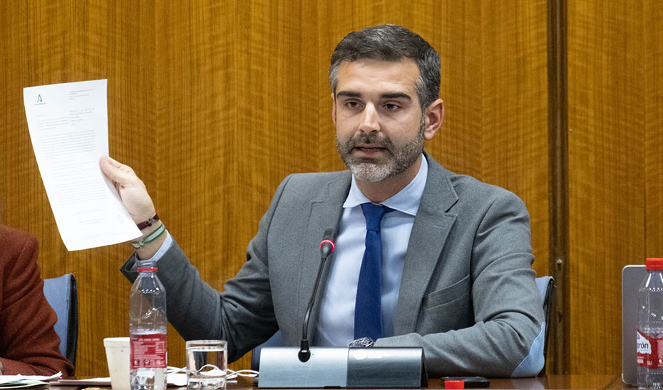 El consejero de Sostenibilidad, Ramón Fernández-Pacheco, durante la comisión parlamentaria.