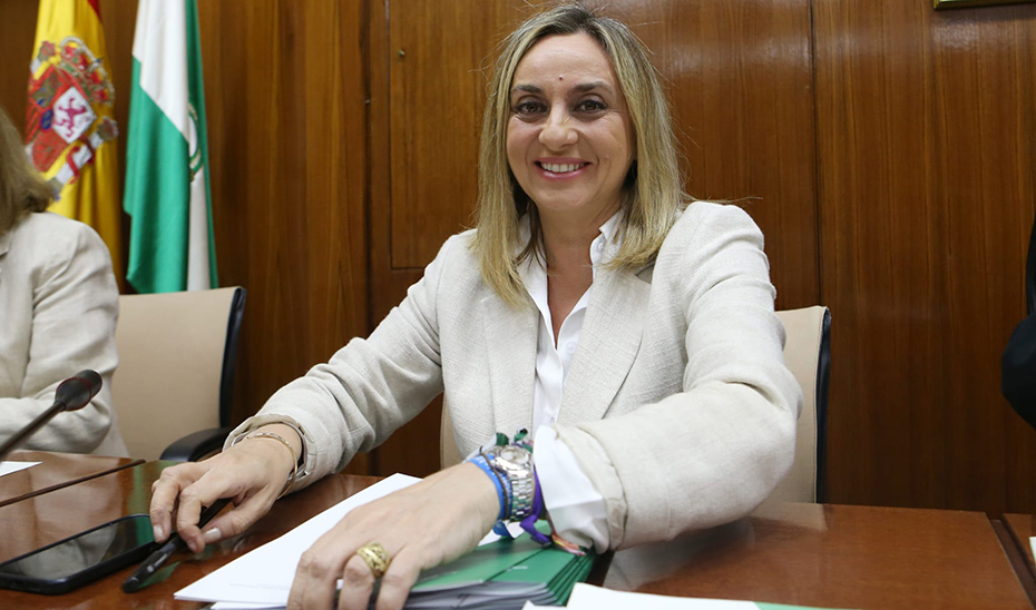 La consejera de Fomento, Marifrán Carazo, durante su intervención en la comisión parlamentaria.