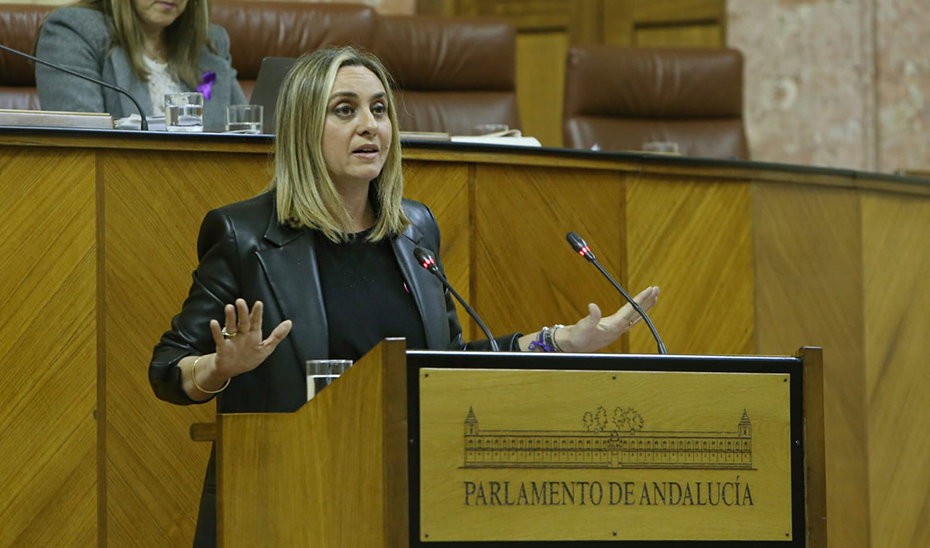 La consejera de Fomento, desde la tribuna del salón de Plenos del Parlamento, se dirige a los diputados andaluces.