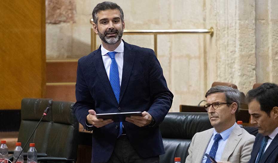 El consejero de Sostenibilidad, Ramón Fernández-Pacheco, durante su intervención en el pleno del Parlamento.
