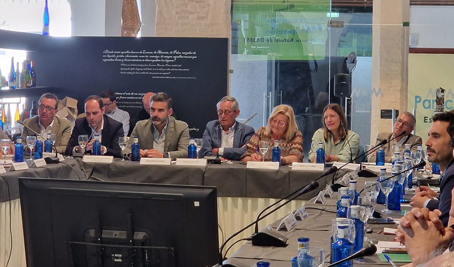 Un momento de la reunión extraordinaria del Consejo de Participación de Doñana.