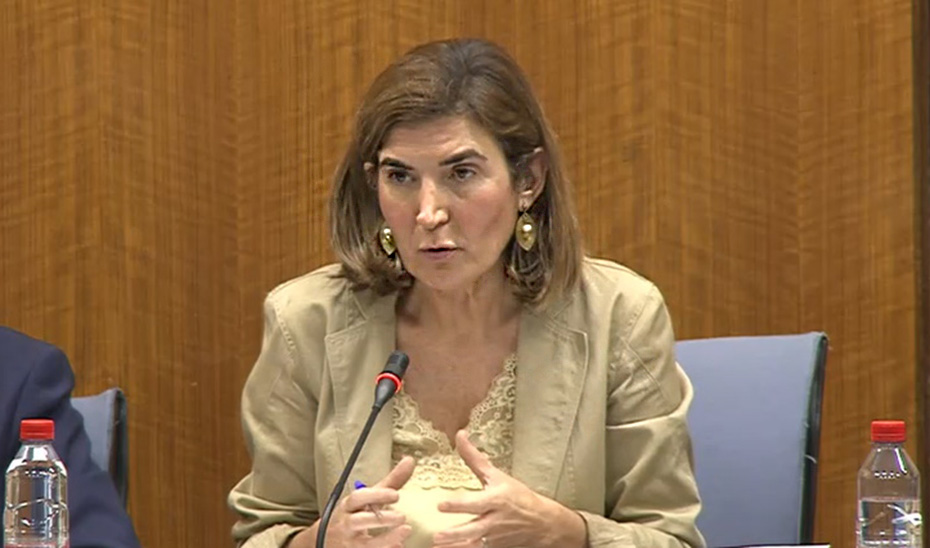 La consejera Rocío Blanco, durante la comisión parlamentaria.