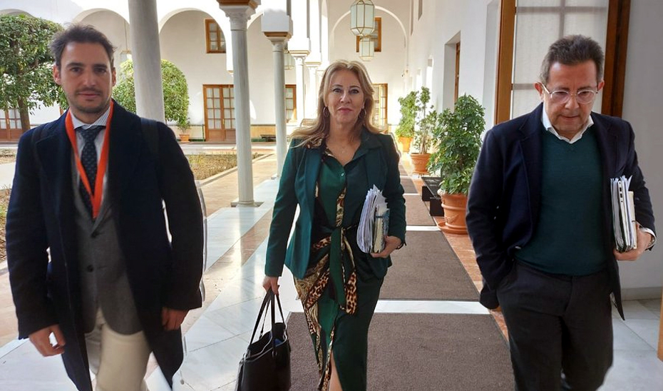 La consejera de Economía, Hacienda y Fondos Europeos, Carolina España, en los pasillos del Parlamento.