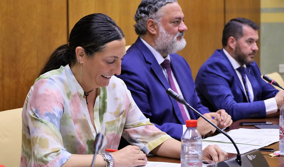 La consejera de Inclusión Social, Loles López, durante su intervención en la comisión parlamentaria.