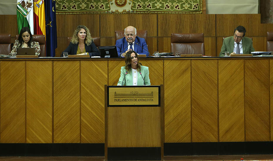 La consejera Rocío, desde la tribuna, durante su intervención ante el Pleno del Parlamento.