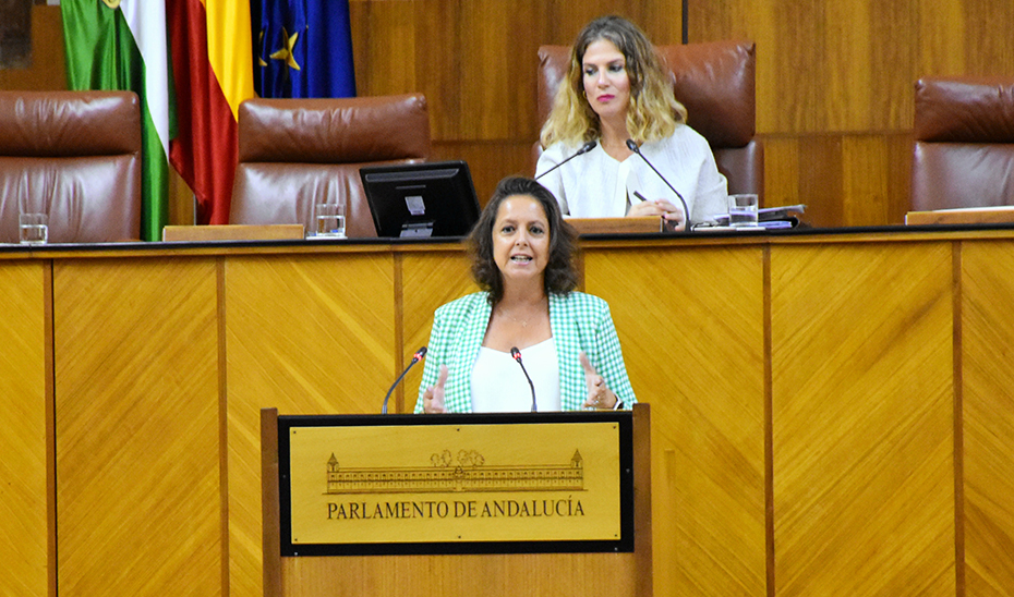 La consejera de Salud y Consumo, Catalina García, interviene desde la tribuna del Parlamento andaluz.