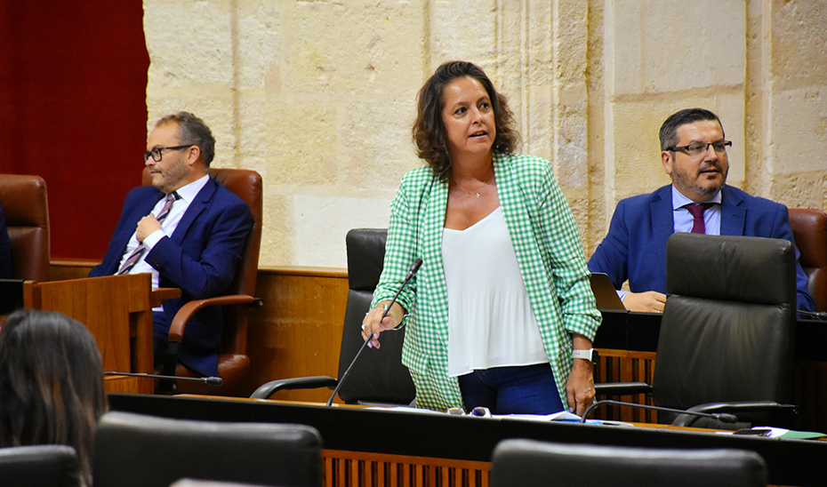 La consejera de Salud y Consumo, Catalina García, interviene en el Pleno del Parlamento andaluz.