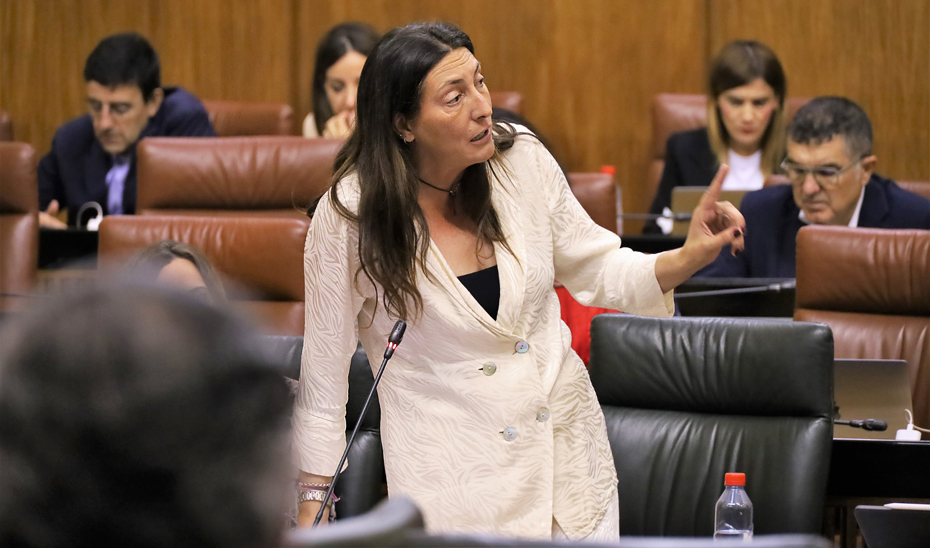La consejera de Inclusión Social, Juventud, Familias e Igualdad, Loles López, durante su intervención en el Parlamento andaluz.