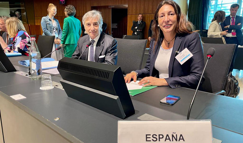 La consejera de Inclusión Social, Loles López, con el embajador representante permanente adjunto de España ante la Unión Europea, Raúl Fuentes Milani.
