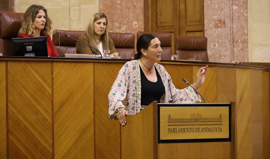 La consejera de Inclusión Social, Juventud, Familias e Igualdad, Loles López, durante su intervención en el Parlamento andaluz.
