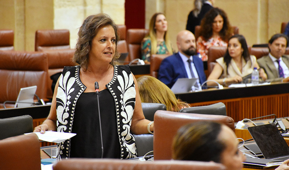 La consejera de Salud y Consumo, Catalina García, interviene desde su escaño en el Parlamento de Andalucía.