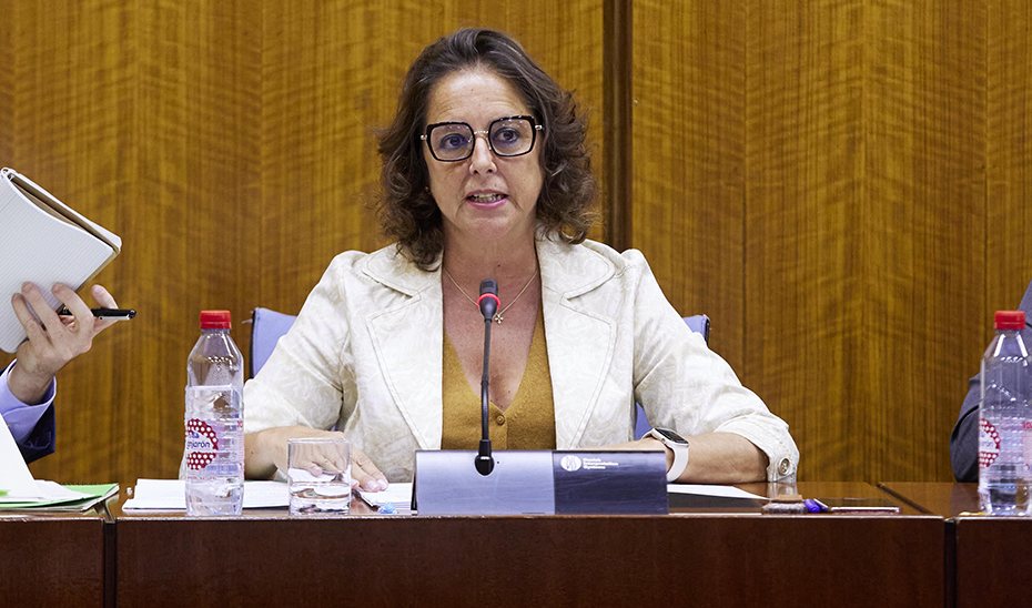La consejera de Salud, Catalina García, comparece en la Comisión sobre Derechos y Atención a las Personas con Discapacidad.